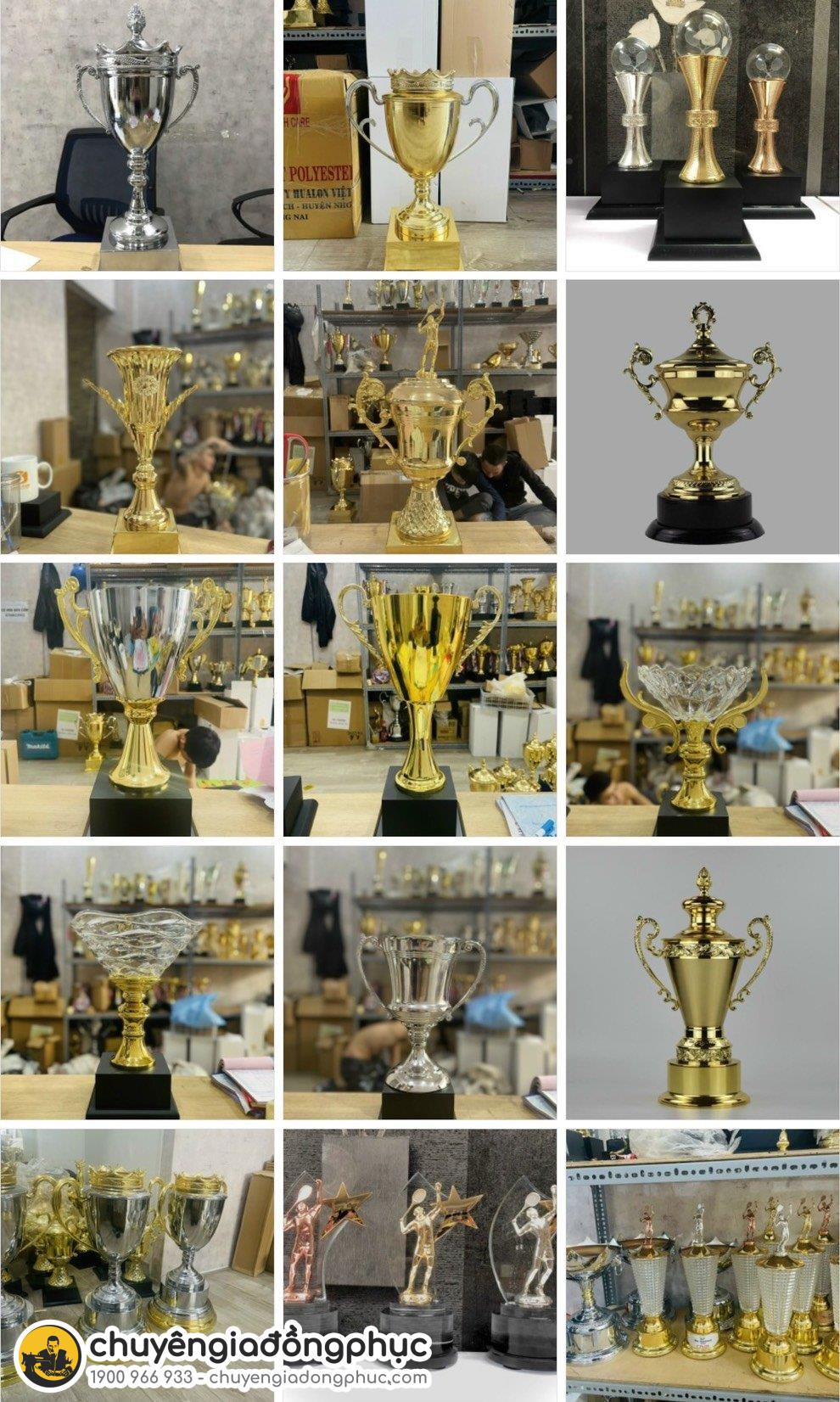 Cờ cúp kỷ niệm chương phù hợp cho từng lĩnh vực
